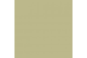 BD Backgrounds Pistachio 2.72m x 11m Seamless Paper